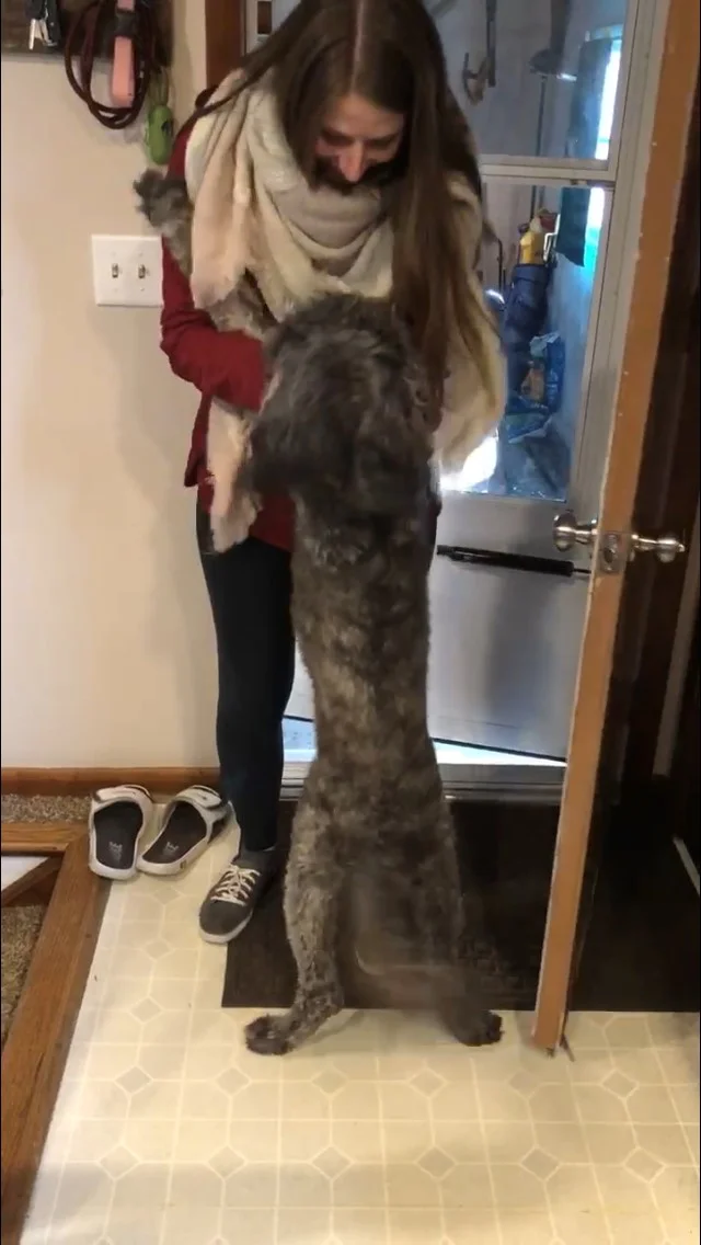 Nala, my puppy, was excited for me to be home.