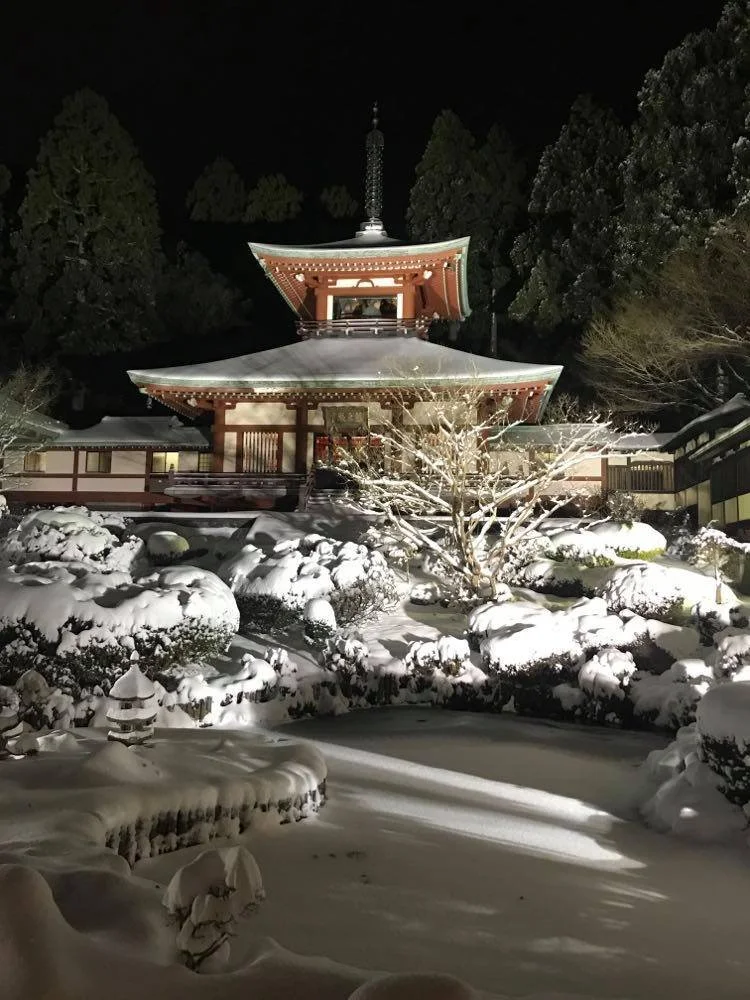 RINGING IN 2024 at DAIRYUJI / YEAR OF THE DRAGON