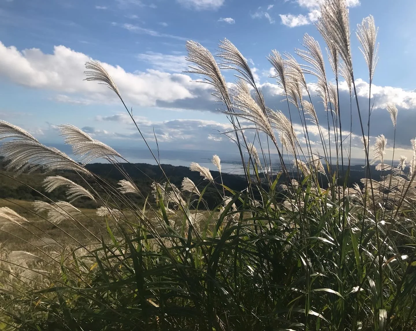 Things to do in Oga!