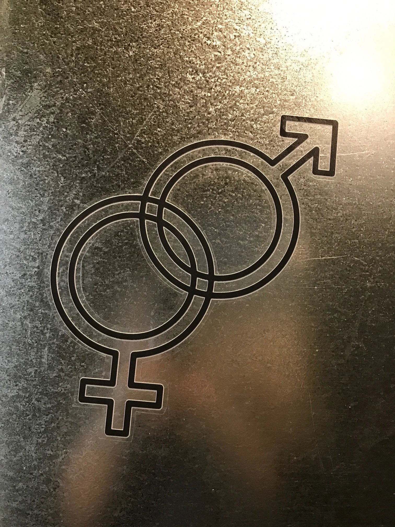 The toilets are finally open!
