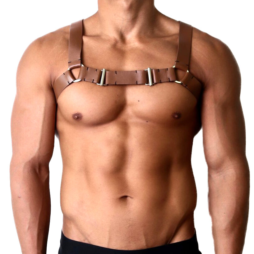 Leather Harness & Steel Rivets