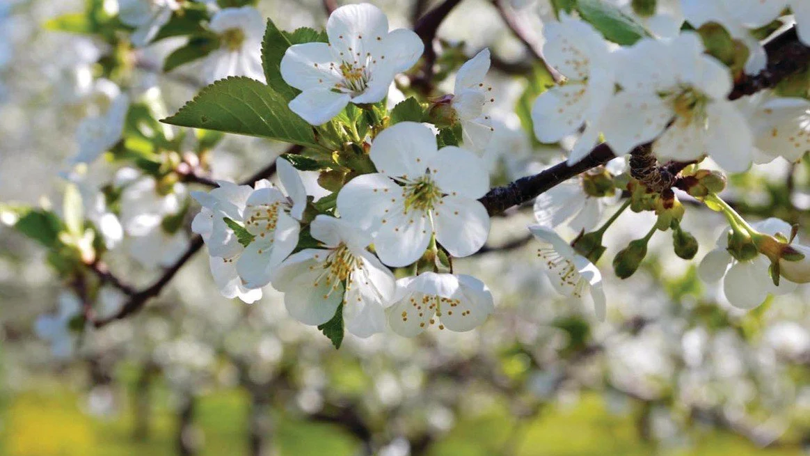 Make "Waste," Not Haste