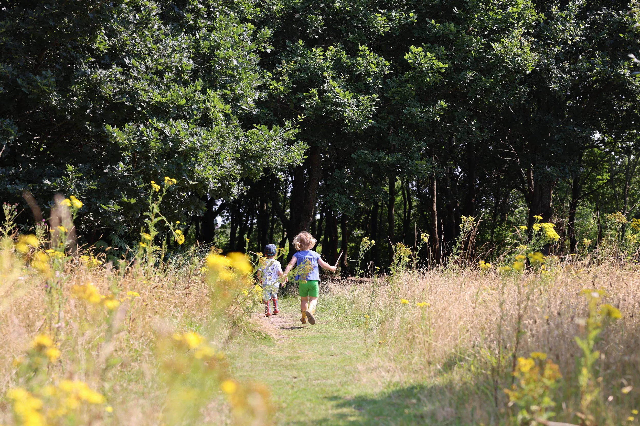 Abbotswood Academy_-322.jpg