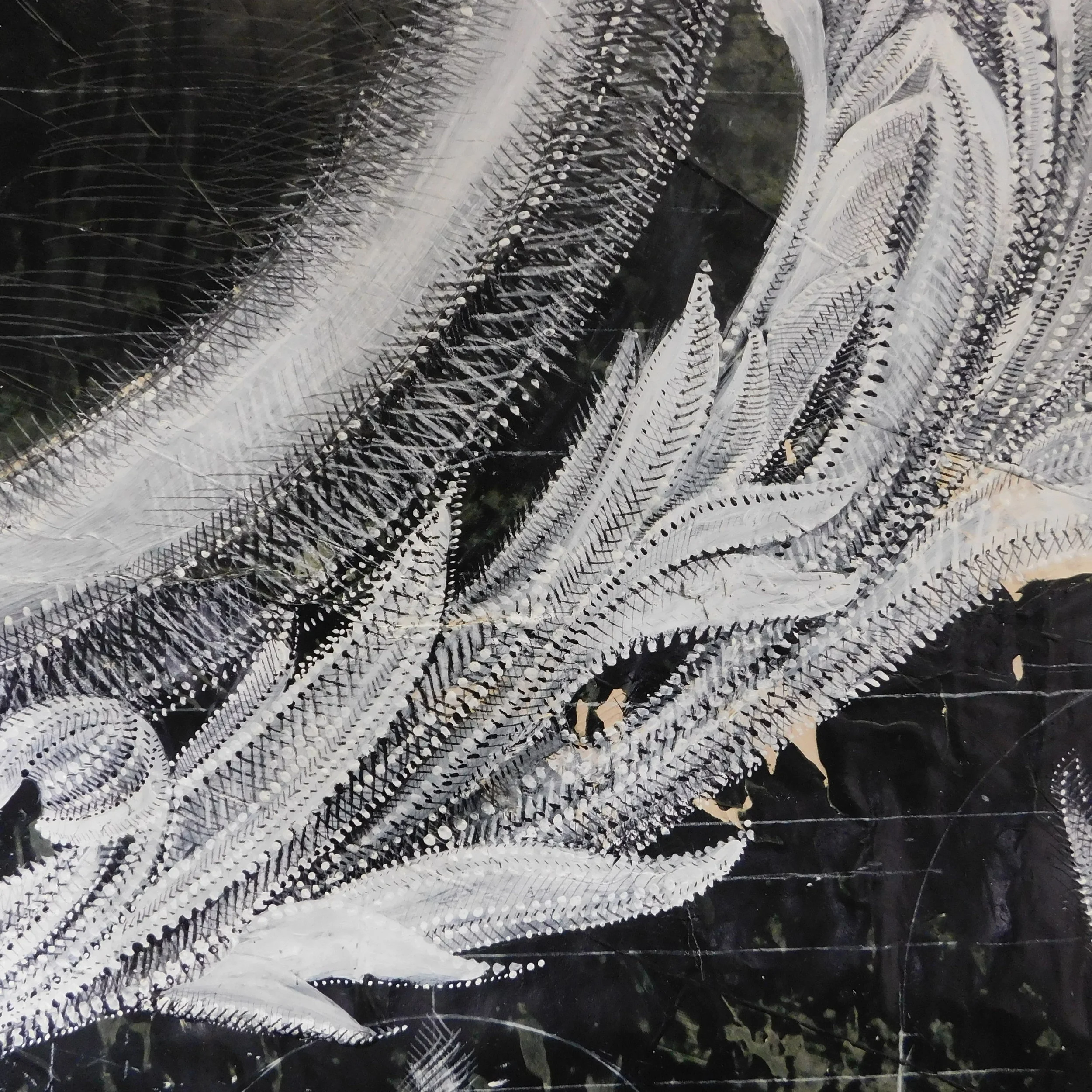 Edgecomb Boulevard Detail