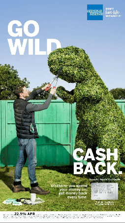Amex_Cash Back_D6_GoWild (1).gif