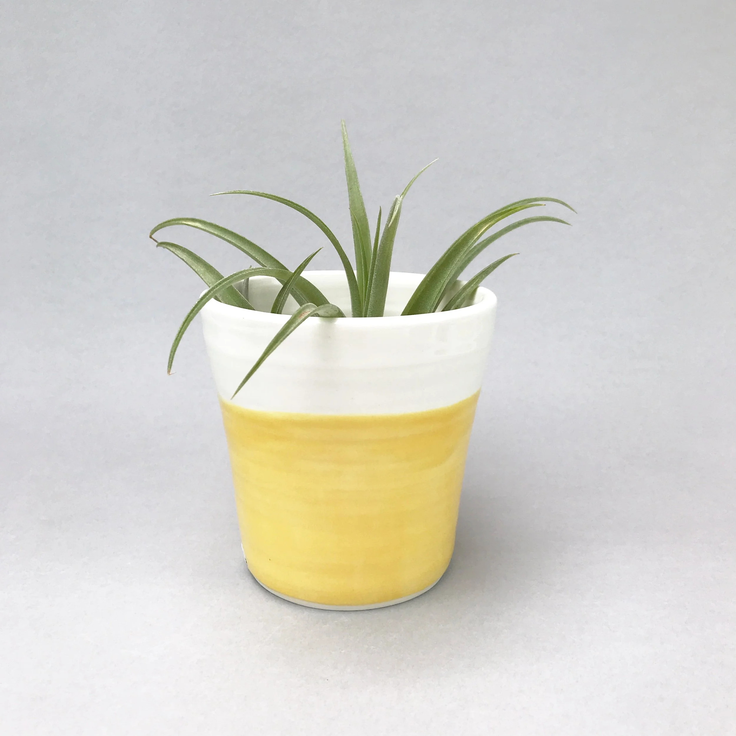 Pottery Plant Pot Yellow