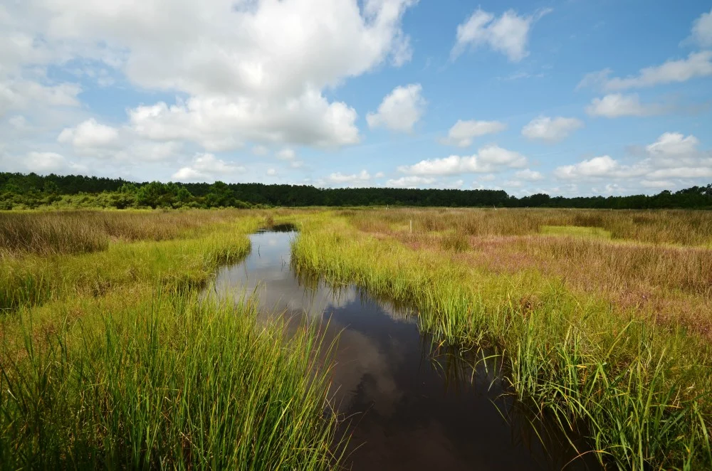 north river 2.jpg
