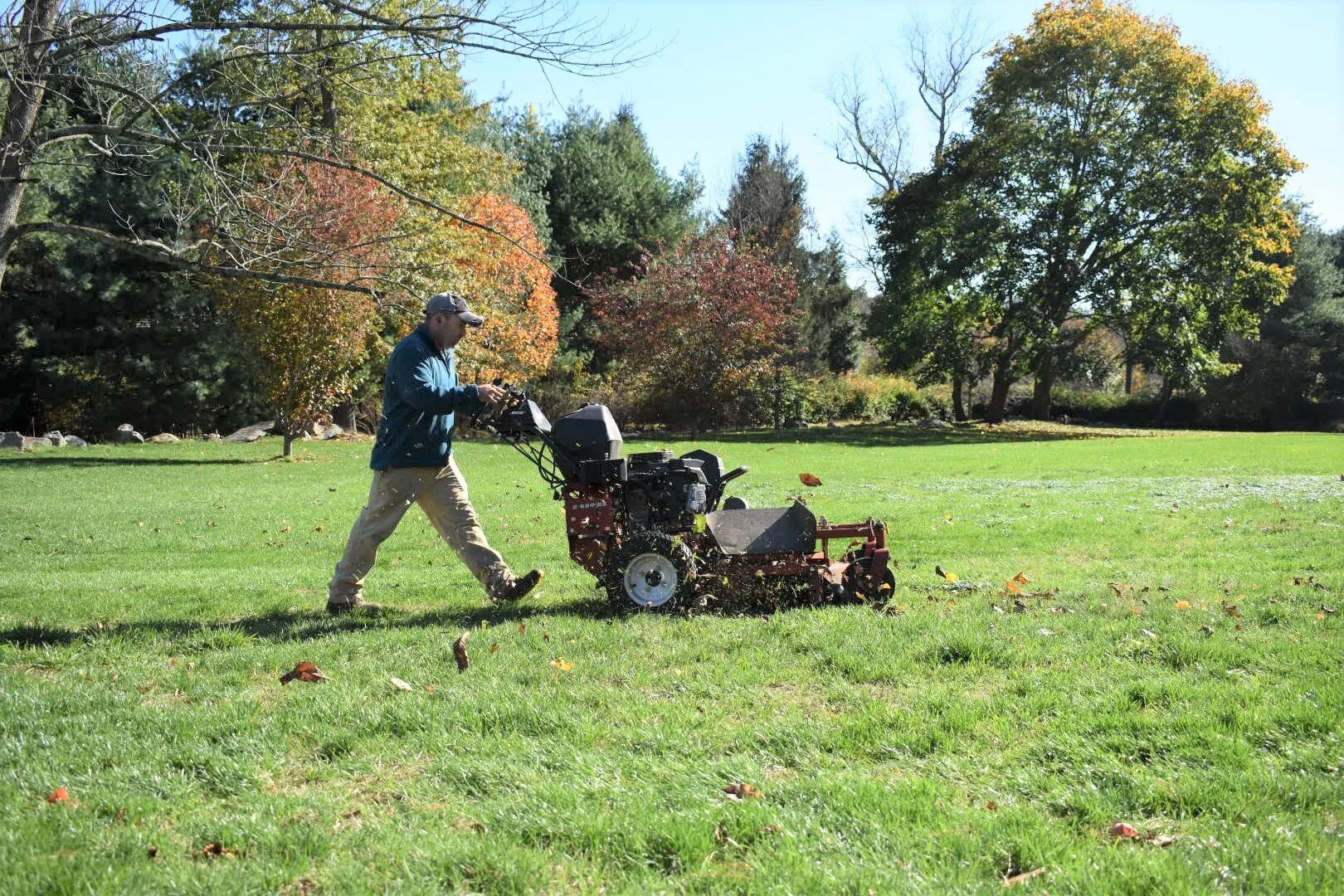 Landscaping - Lawn mowing 2.JPG