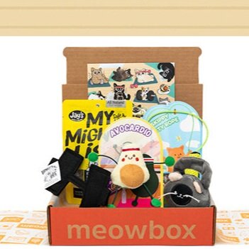 Meowbox- Cat Treat/Toy Box