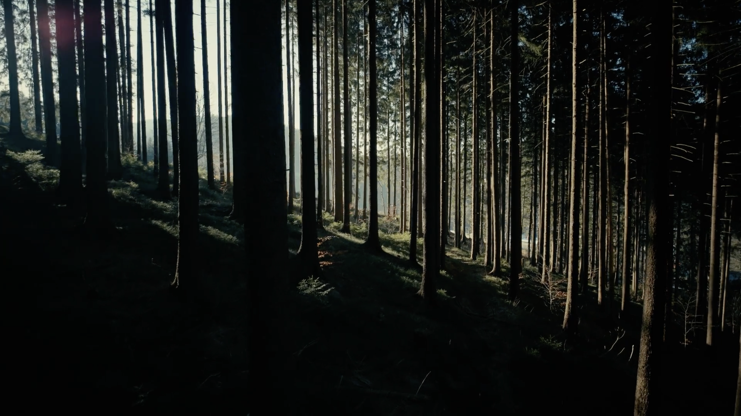 Screenshot 2025-10-14 at 1.07.08 PM.png