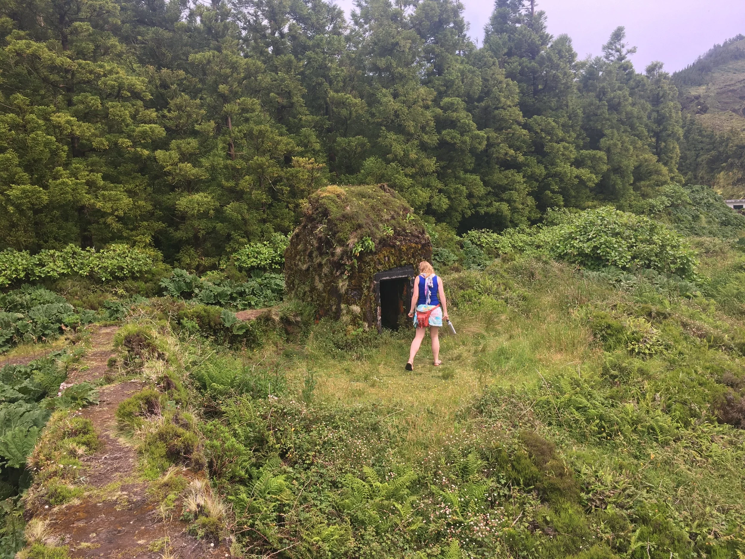 Retreat to the Mountains!