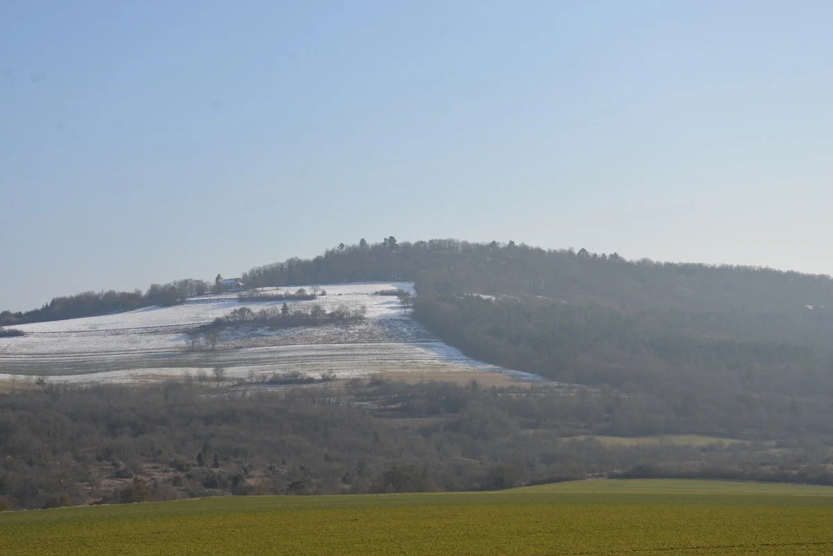 DSC_4421.jpg