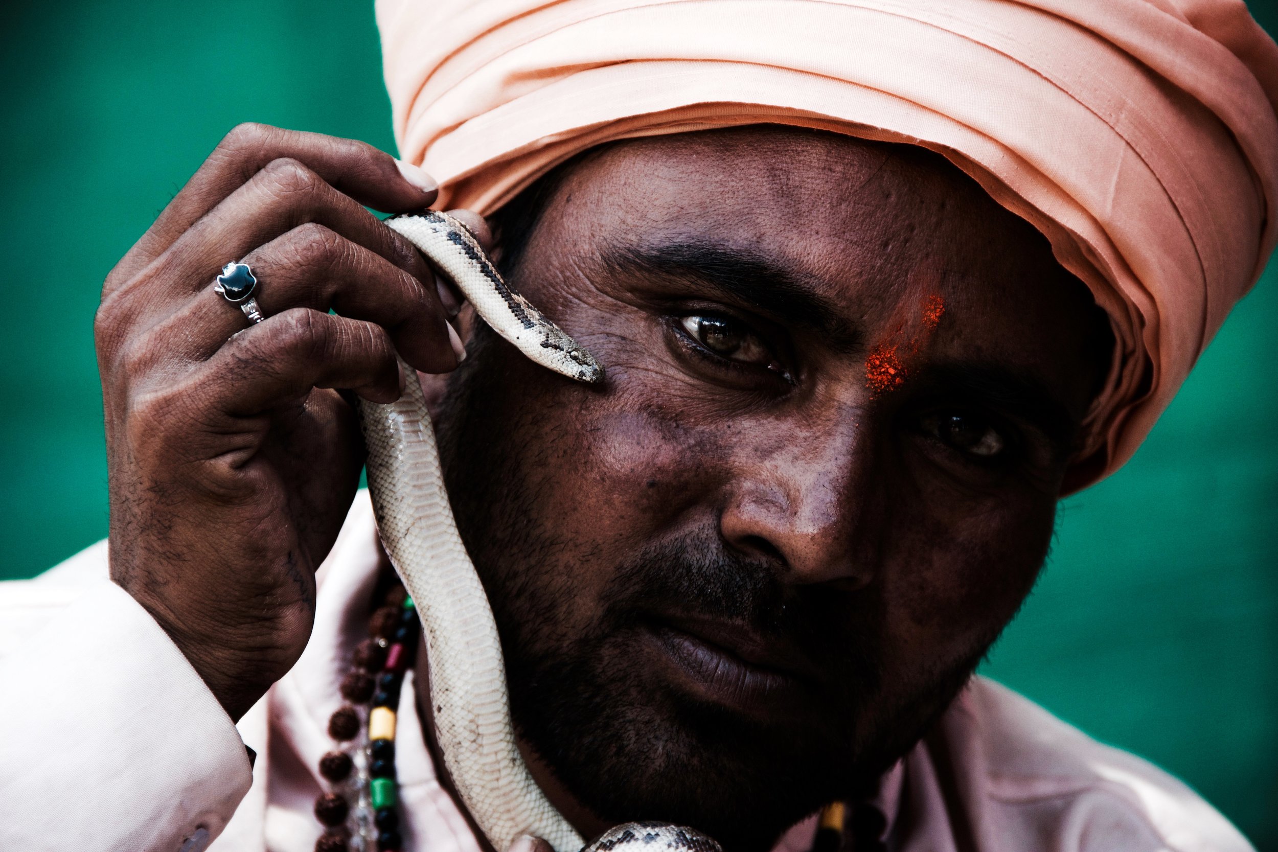 JacobGrantPhotography_Travel, Indian Snake Charmer