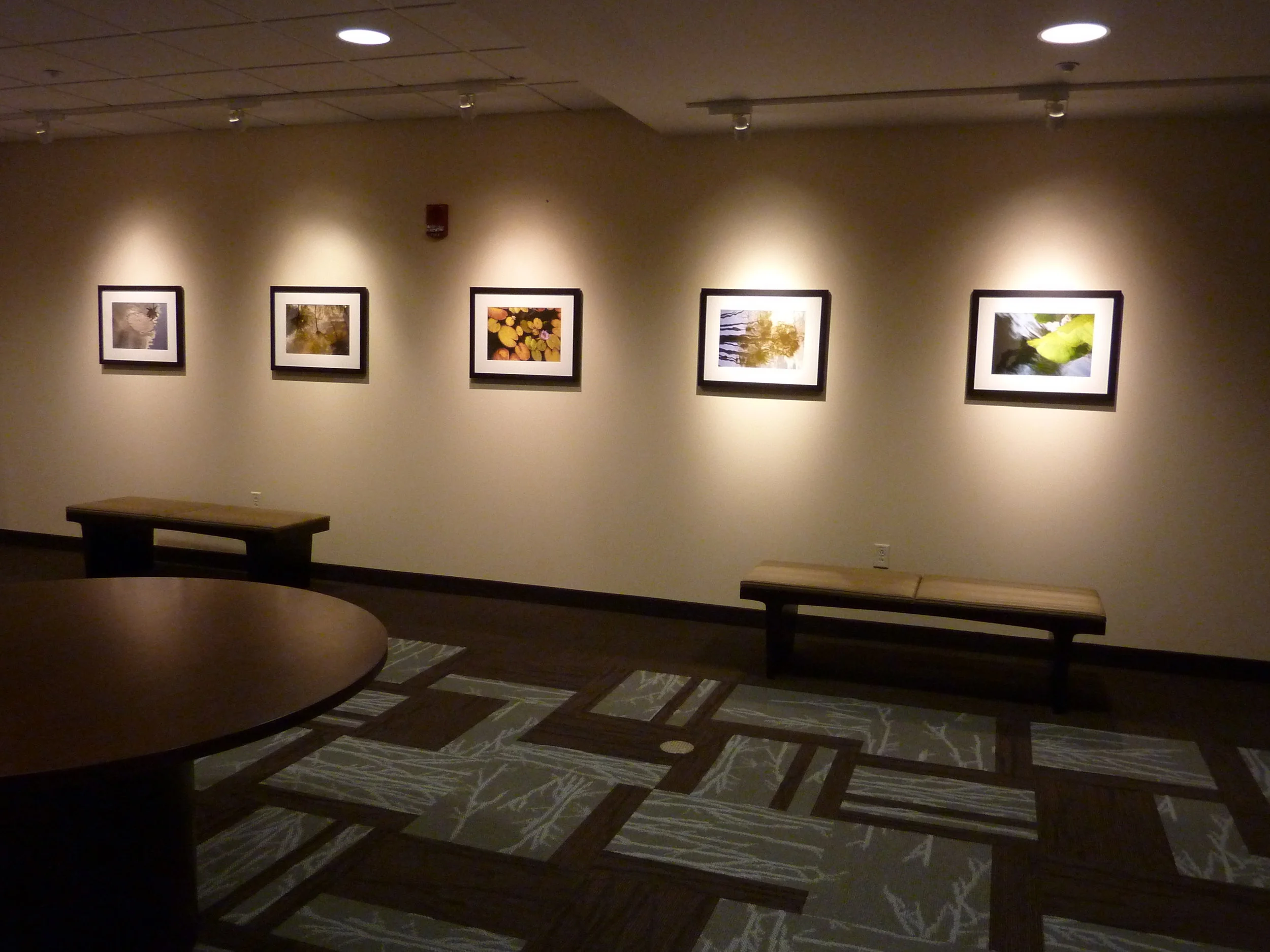 Board room lobby, Butler Health System, Butler, PA 2010