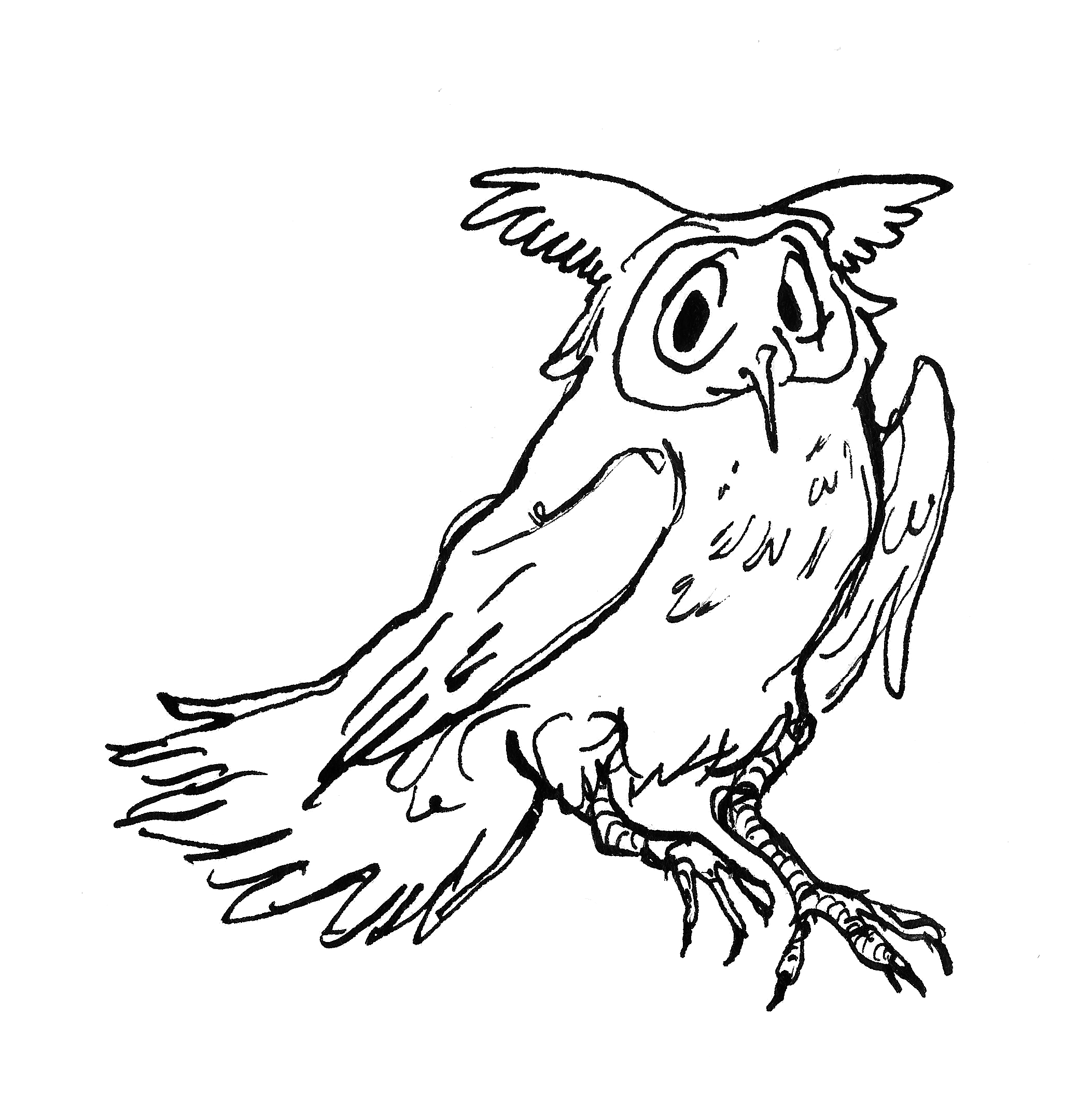 owlcreature1.png
