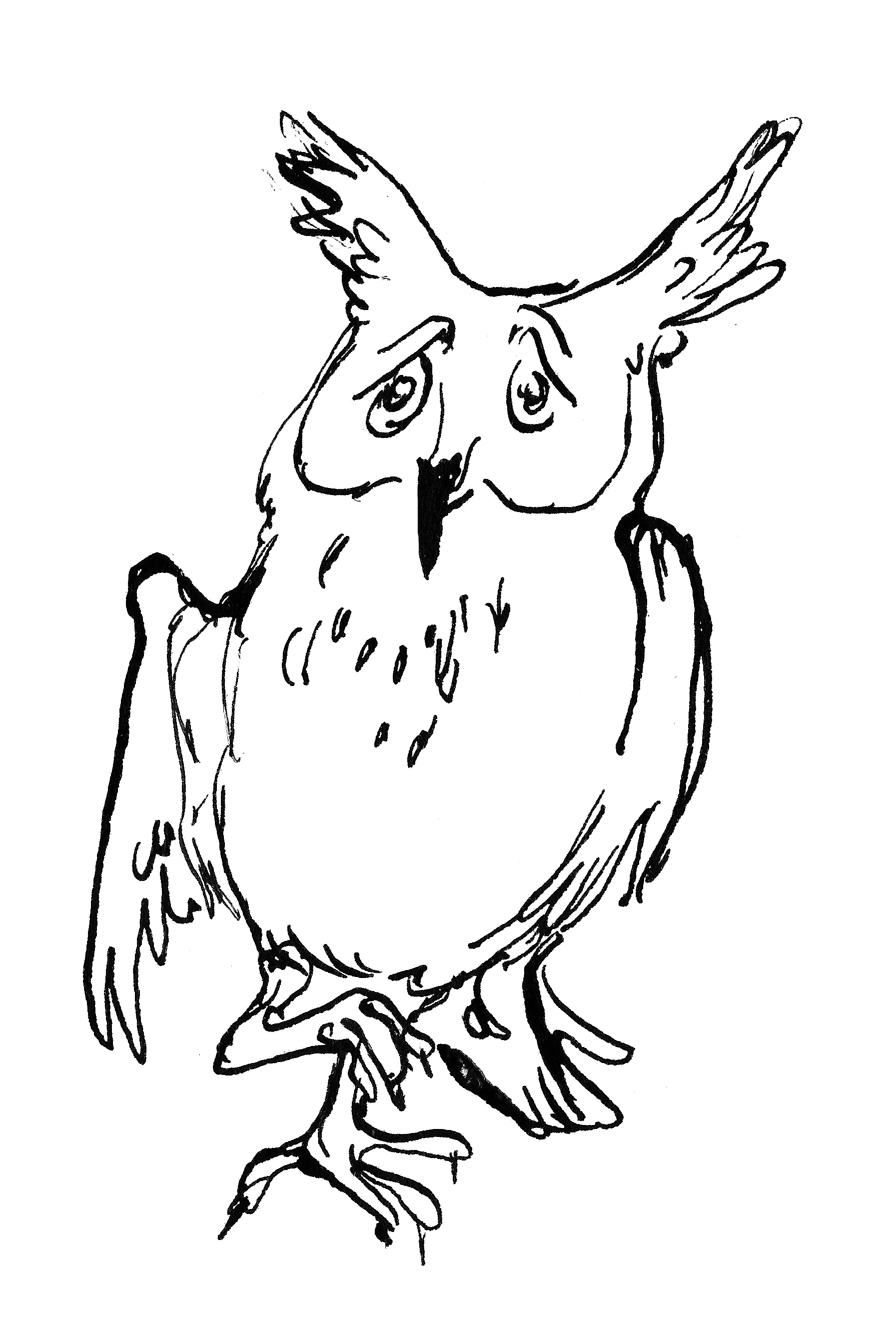 owlcreature2.png