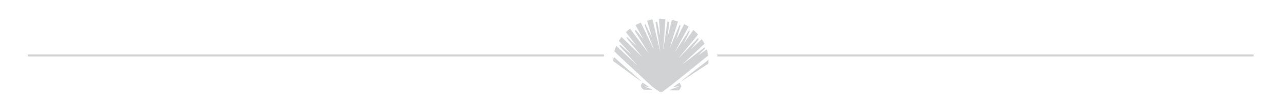 shell-01.png
