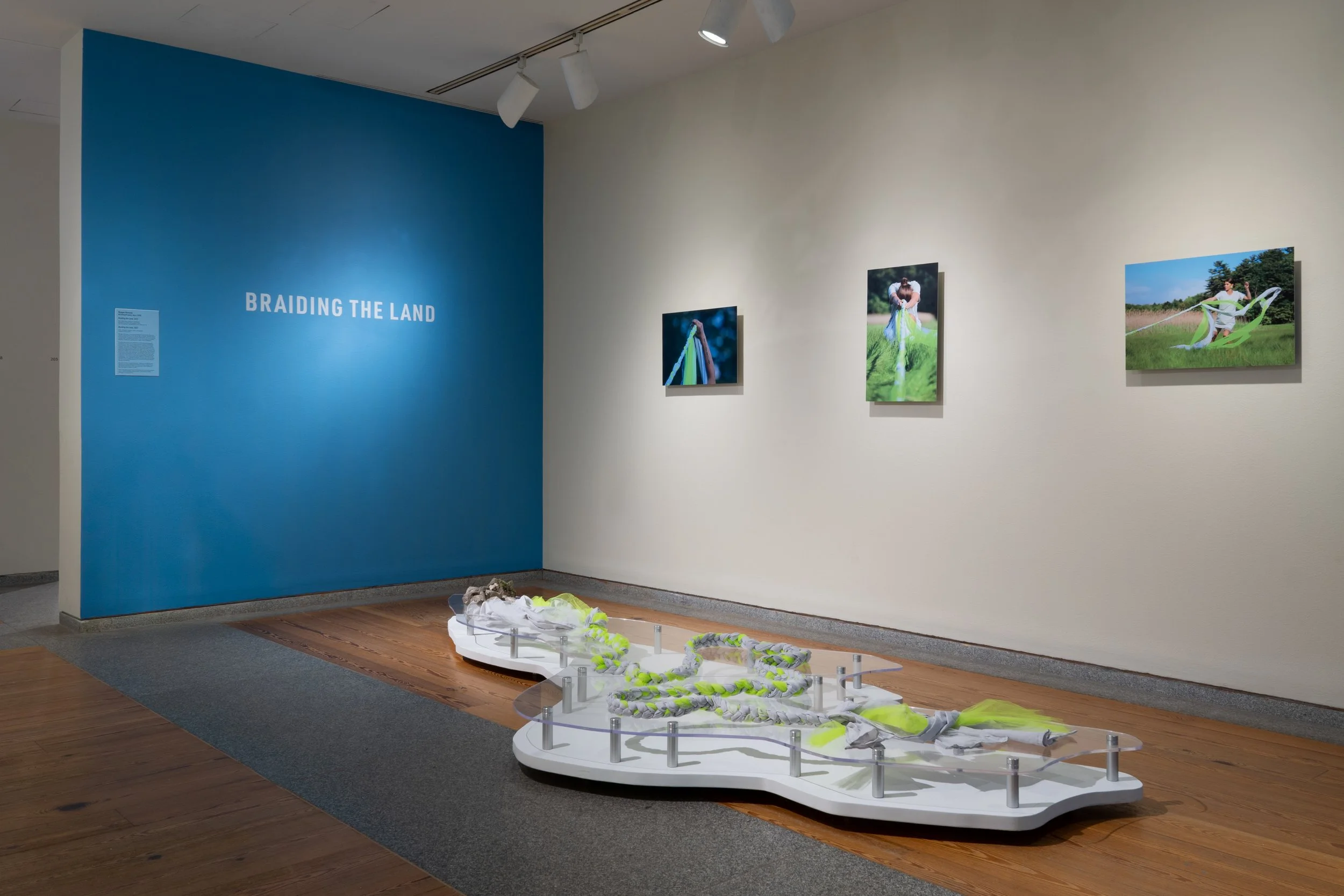 Gallery Talk: Interpreting "Braiding the Land/Becomes Body of Water"