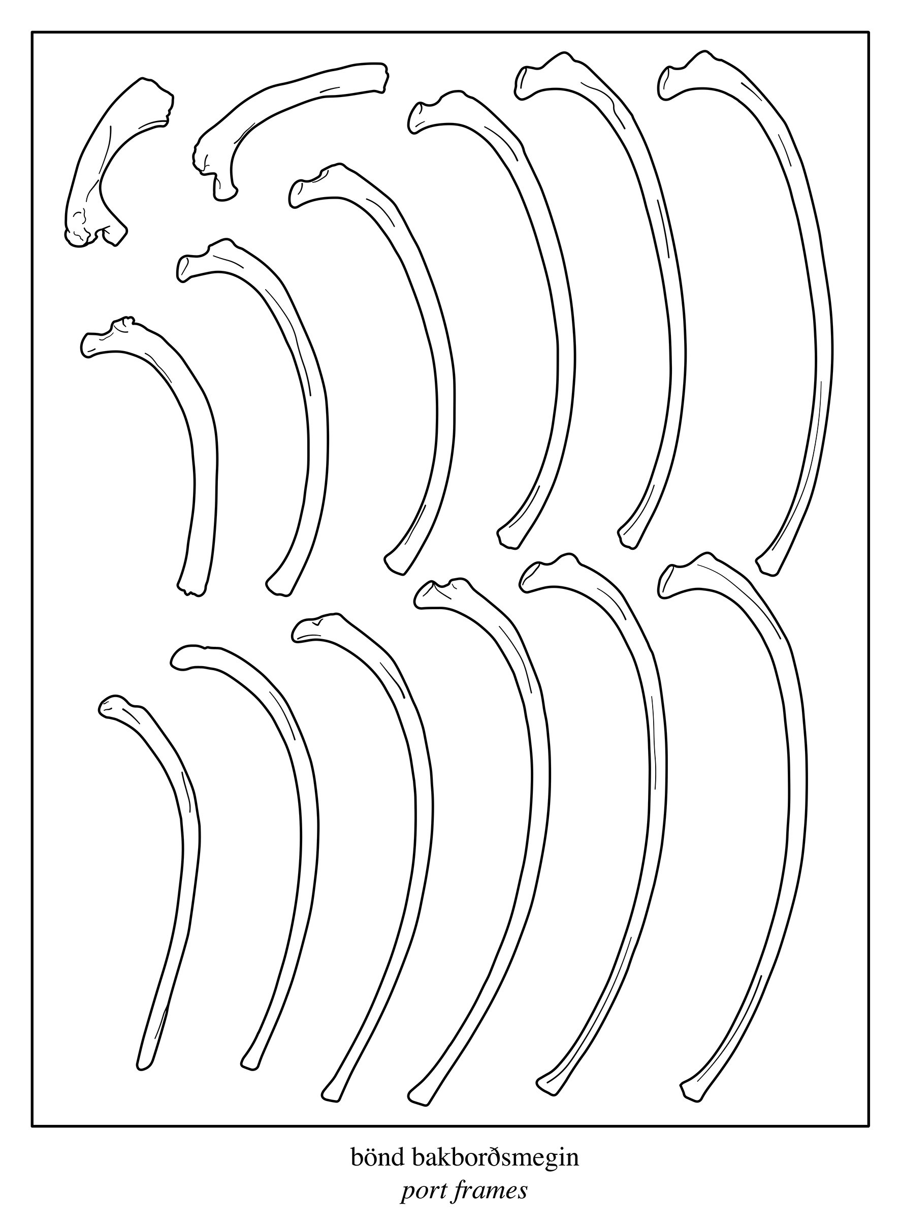 Ribs#1 (LH).jpg