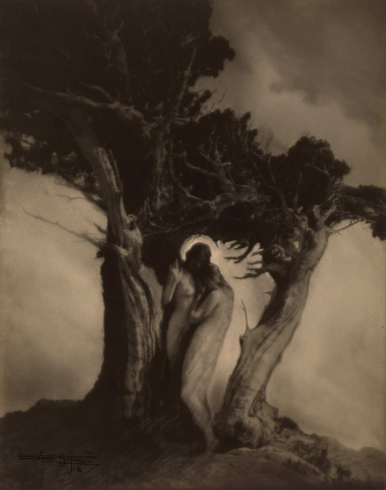  Anne Brigman (United States, 1869–1950),  The Heart of the Storm , 1912, gelatin silver print, 9 3/4 x 7 3/4 inches. Promised Gift from the Judy Glickman Lauder Collection, 5.2016.1. Image courtesy Luc Demers. 