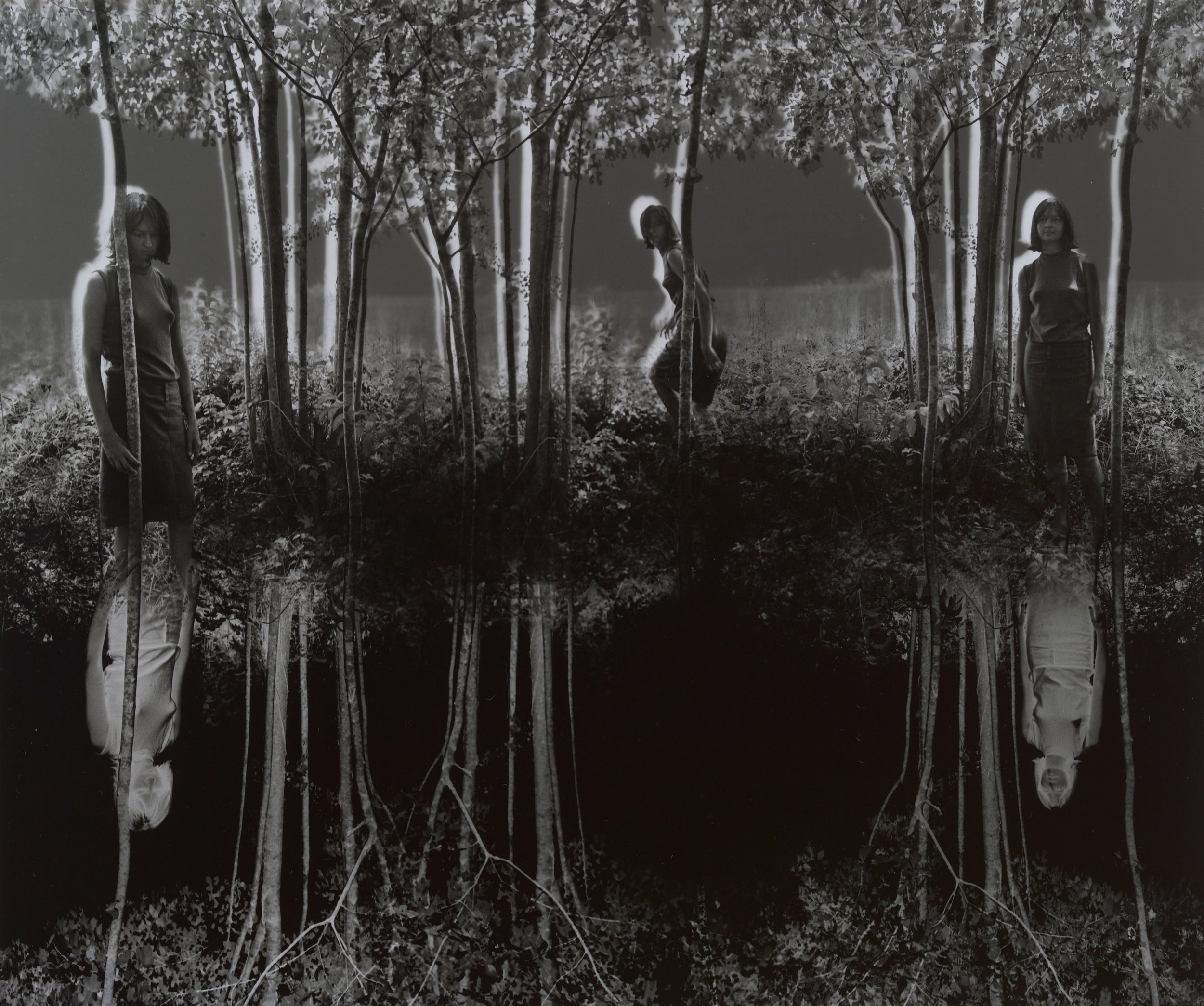  Jerry N. Uelsmann (United States, 1934–2022),  Small Woods Where I Met Myself , 1967, gelatin silver print, 10 1/2 x 12 3/4 inches. Promised Gift from the Judy Glickman Lauder Collection, 11.2006.18. Image courtesy Luc Demers. © Jerry N. Uelsmann 