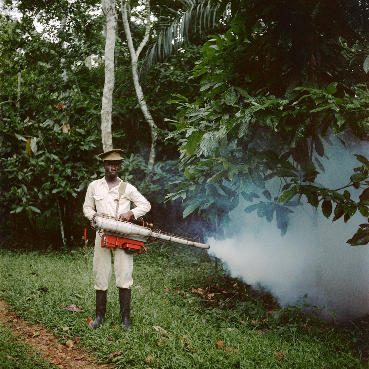  Todd Webb (United States, 1905-2000),  Untitled (44UN-7776-038), Ghana  [Spraying pesticide on cocoa crop] ,  1958, archival pigment print, 20 x 20 inches (image), 22 x 22 inches (sheet). © Todd Webb Archive 