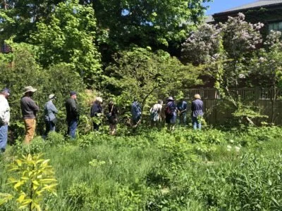 Planting Seeds of Resilience with Wild Seed Project
