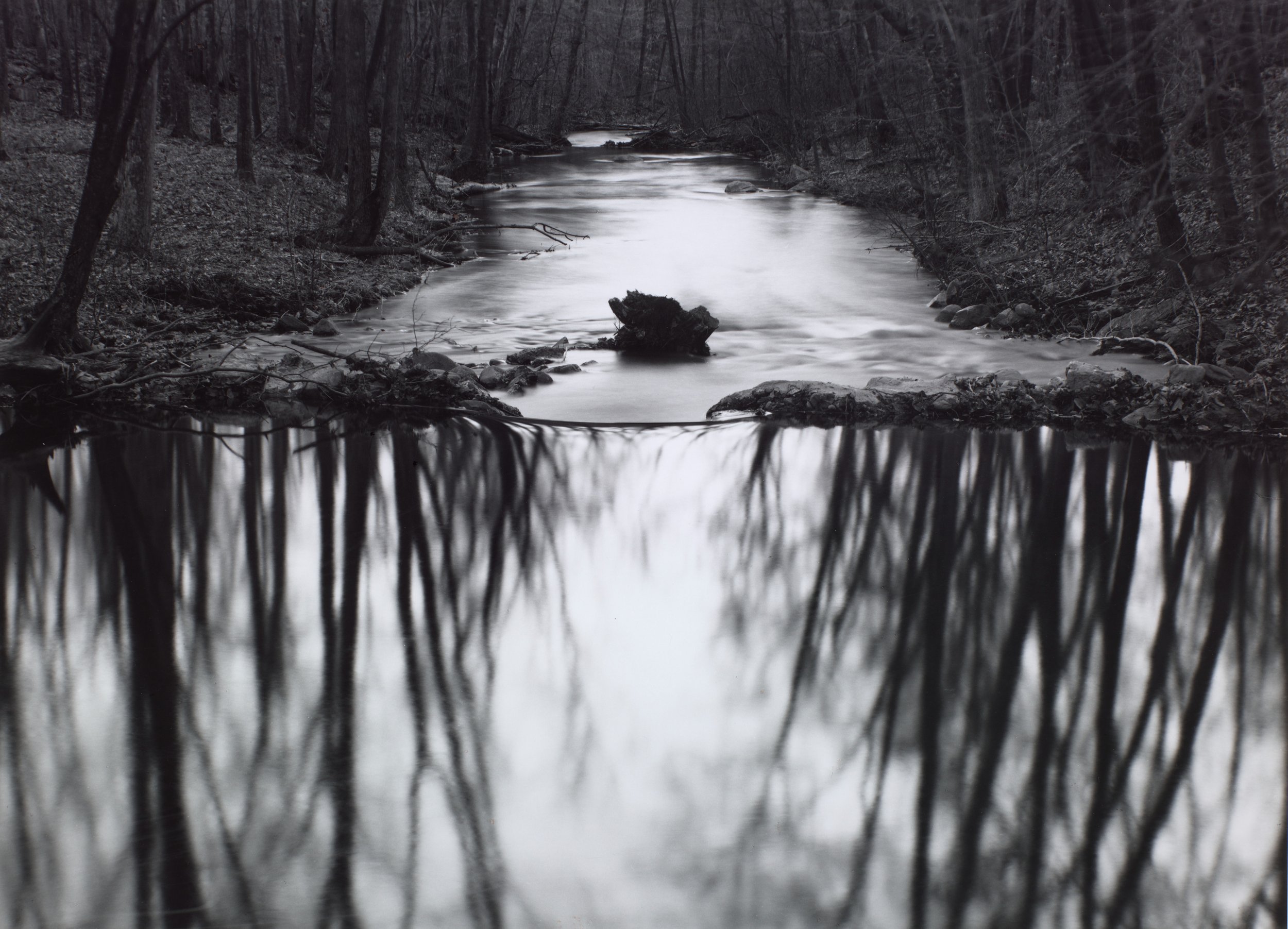  Paul Caponigro (United States, born 1932),  Reflecting Stream, Redding, Connecticut , 1968, gelatin silver print mounted on board, 9 7/8 x 13 1/2 inches. Portland Museum of Art, Maine. Promised Gift from the Judy Glickman Lauder Collection, 7.1998.1