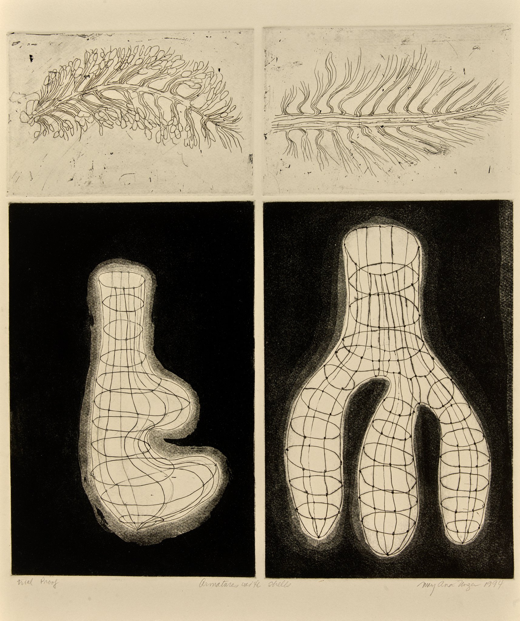  Mary Ann Unger (United States, 1945-1998),  Armature with Shells , 1994, etching and aquatint on paper, 23 x 18 5/8 inches. Gift of Geoffrey Biddle and Eve Biddle, 2023.13.2. © Mary Ann Unger Estate. Image courtesy Luc Demers 