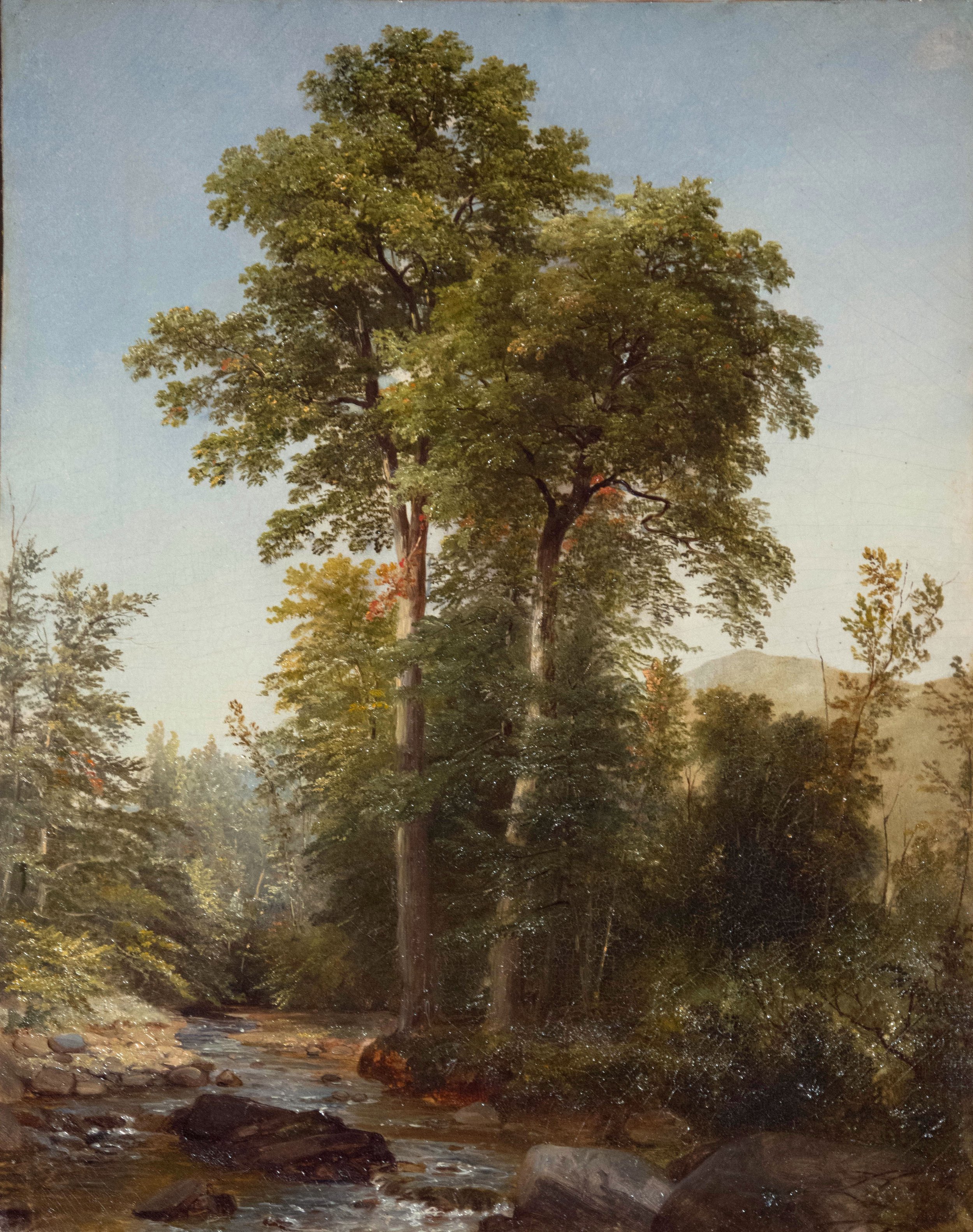   Asher Brown Durand  United States, 1796–1886  Untitled Landscape , 1853 oil on canvas, 21 x 17 inches Gift of Hannah Woodman, 1962.6   