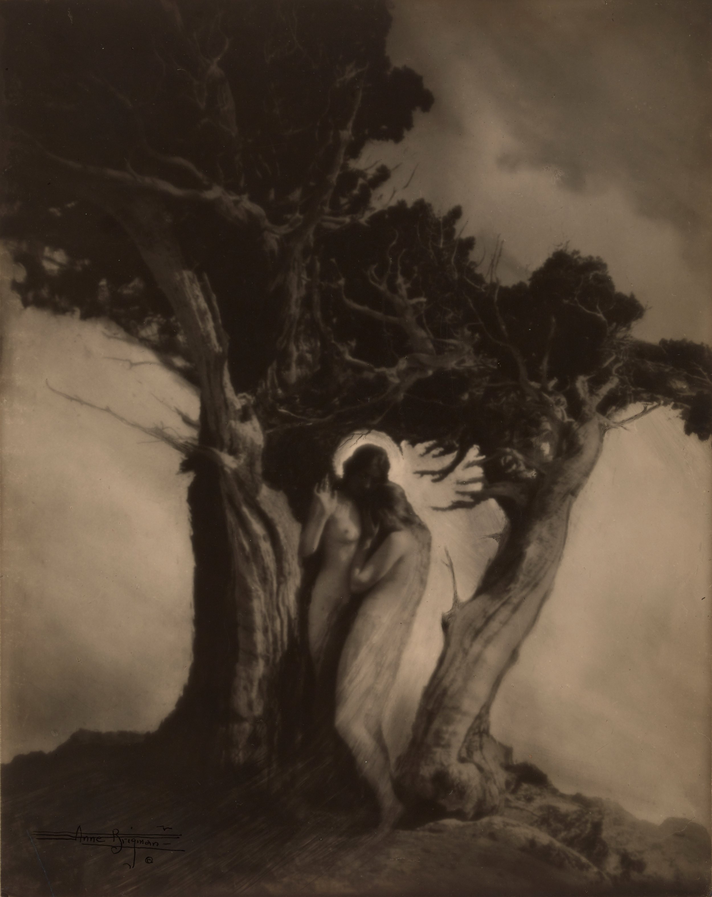   Anne Brigman  United States, 1869–1950  Heart of the Storm , 1912 gelatin silver print, 9 3/4 x 7 3/4 inches Promised Gift from the Judy Glickman Lauder Collection, 5.2016.1 