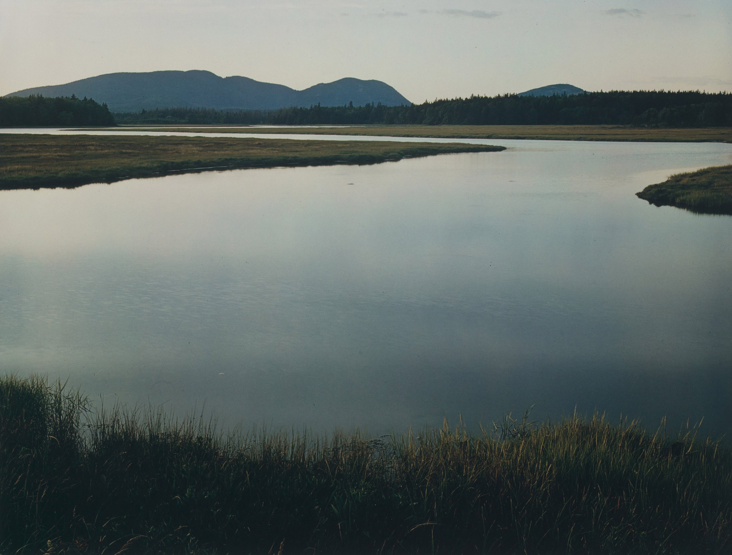   Eliot Porter  United States, 1901–1990  Tidal Marsh, Mount Desert Island, Maine, August 4, 1965 , from the portfolio  In Wildness , 1981 dye transfer print, 16 x 12 1/8 inches Gift of Owen W. and Anna H. Wells, 2014.15.4 © 1981 by Daniel Wolf Press