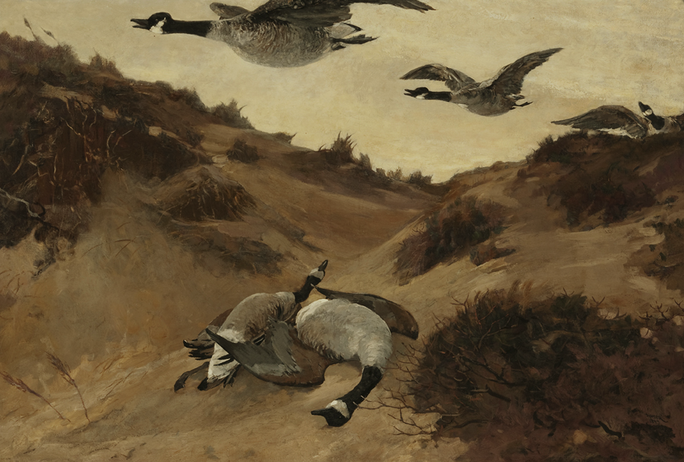   Winslow Homer  United States, 1836–1910  Wild Geese in Flight , 1897 oil on canvas, 33 7/8 x 49 3/4 inches Bequest of Charles Shipman Payson, 1988.55.2 