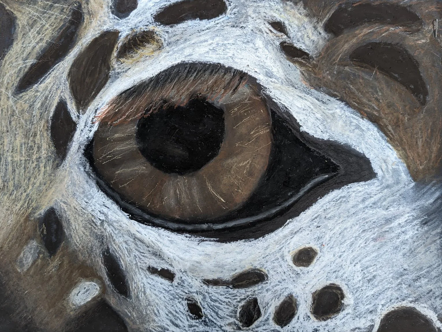 Delaney M., Giraffe Eye