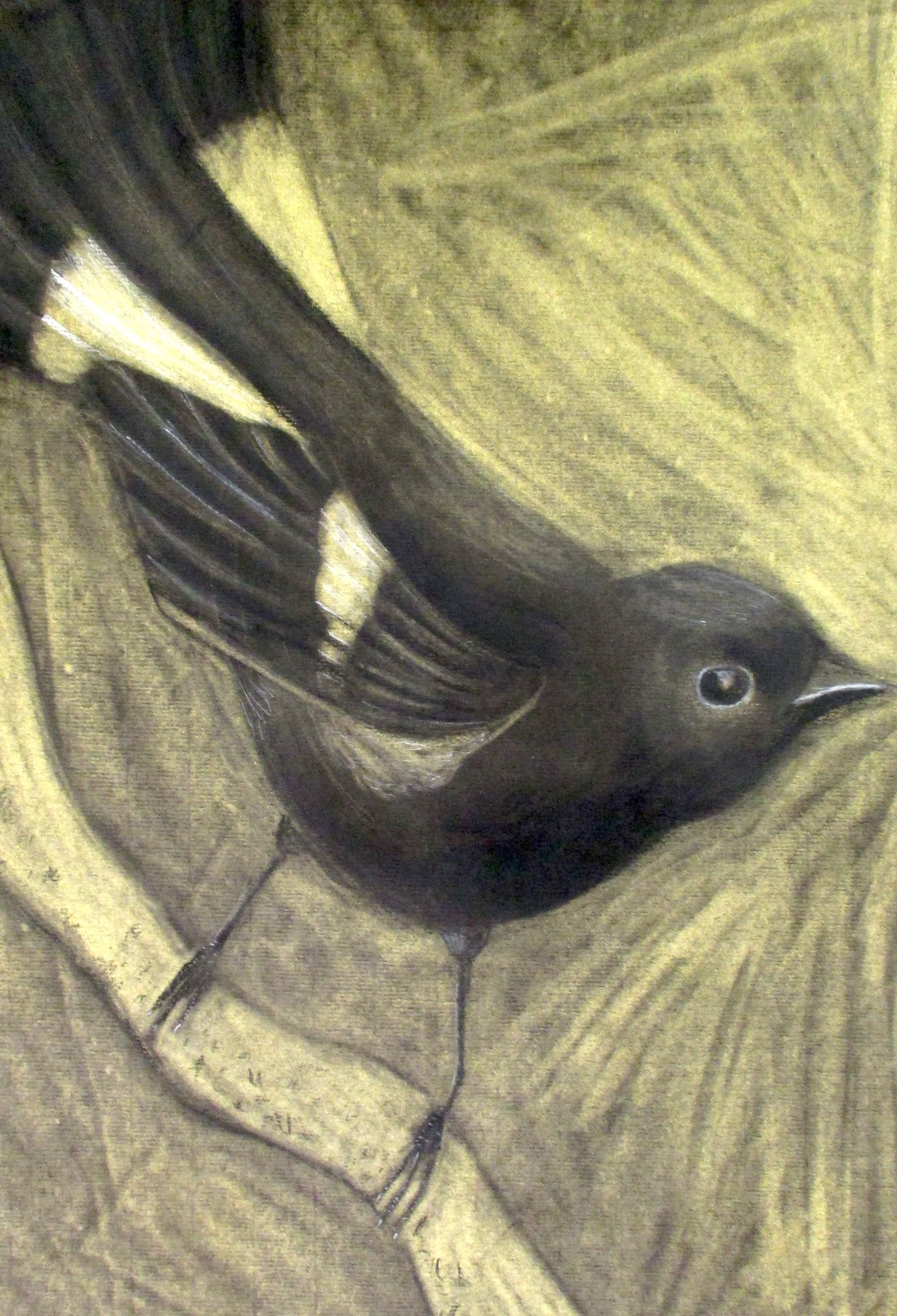 Mariana Herszkopf, Blackbird