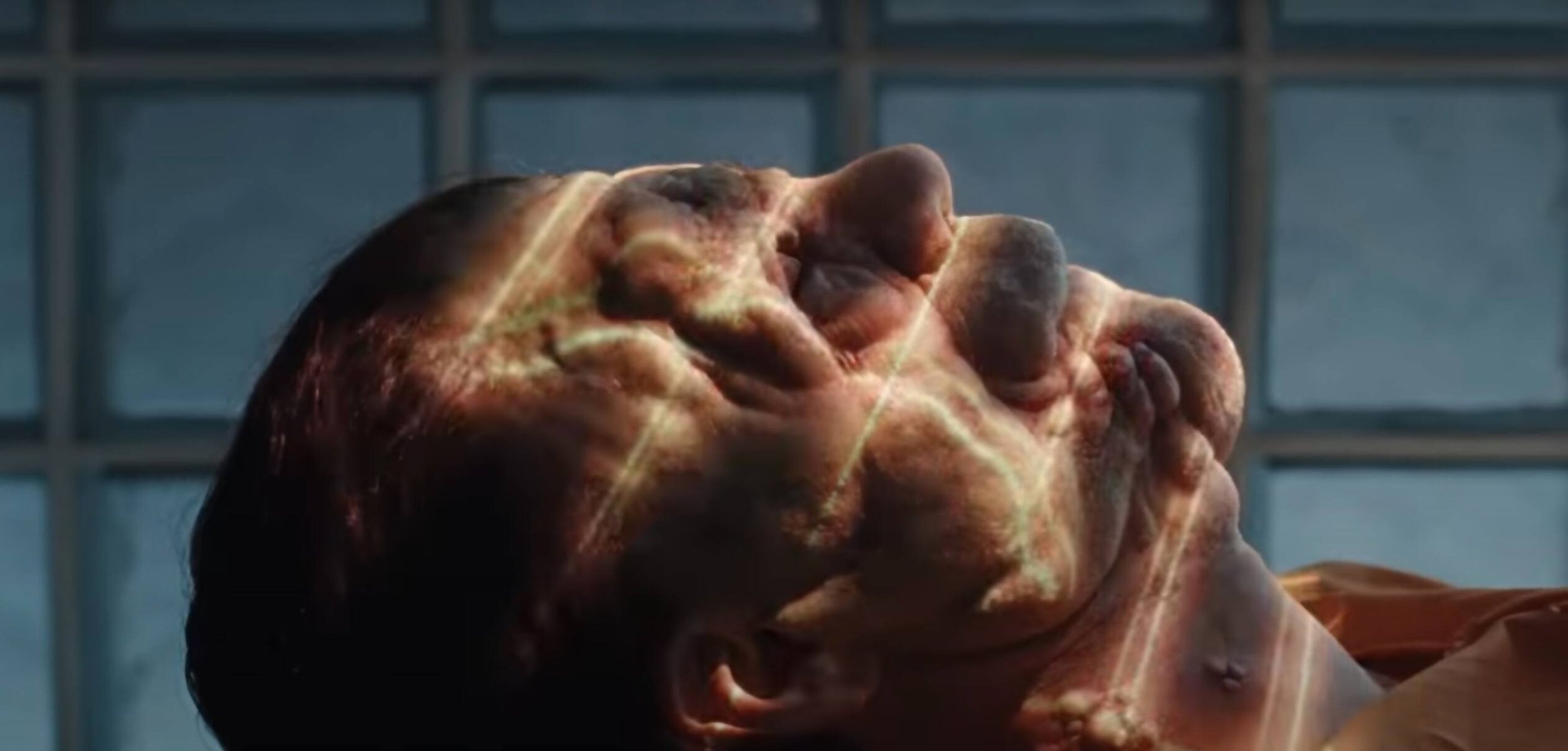 PMA Films: A new documentary about Van Gogh, plus The Iron Giant, Frederick Wiseman, and the best indie of the year