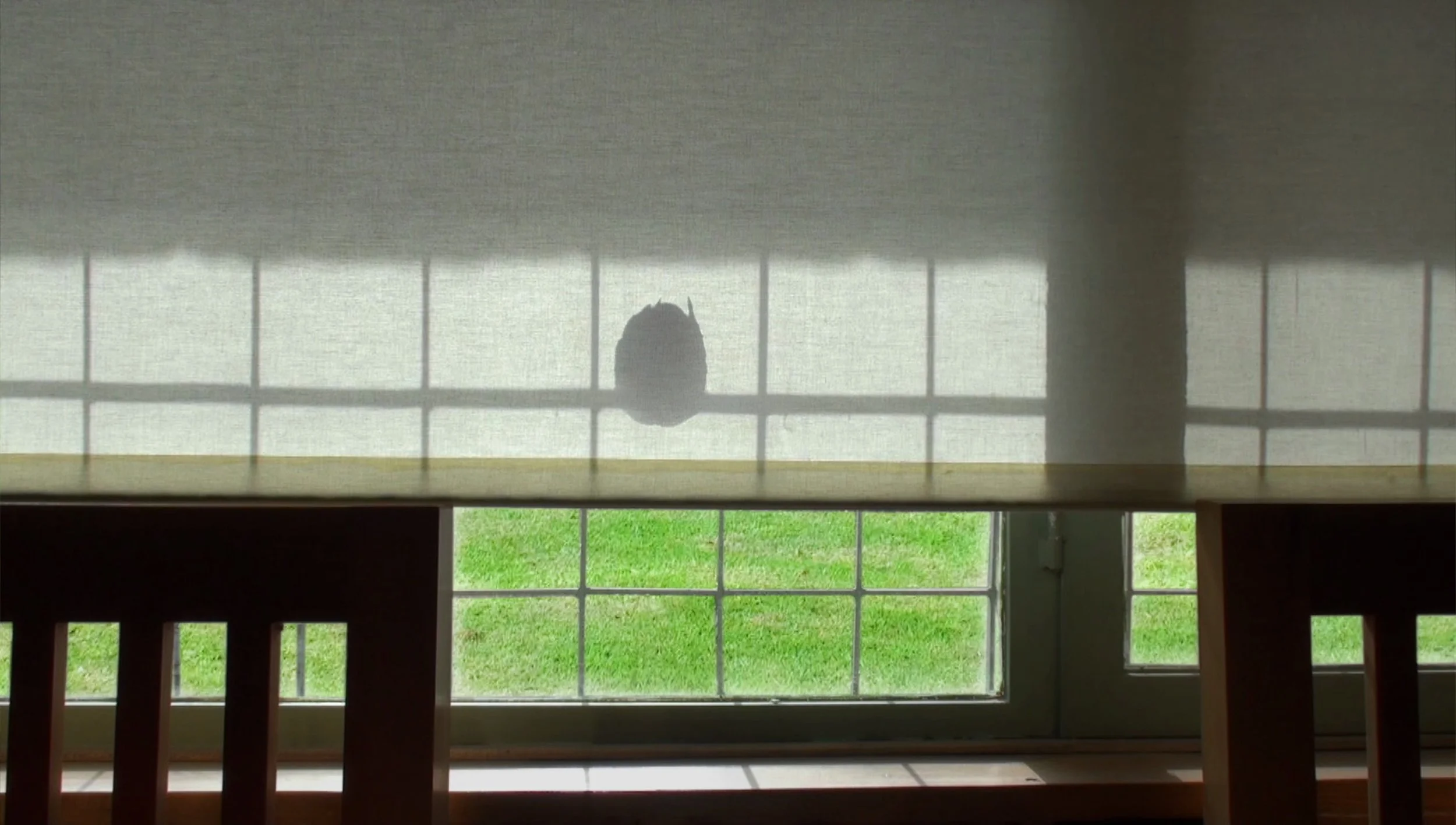 PMA Films: "Reflections": 24 Frames (2017)