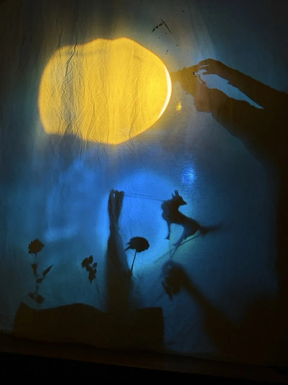 Family Shadow Puppetry Workshop