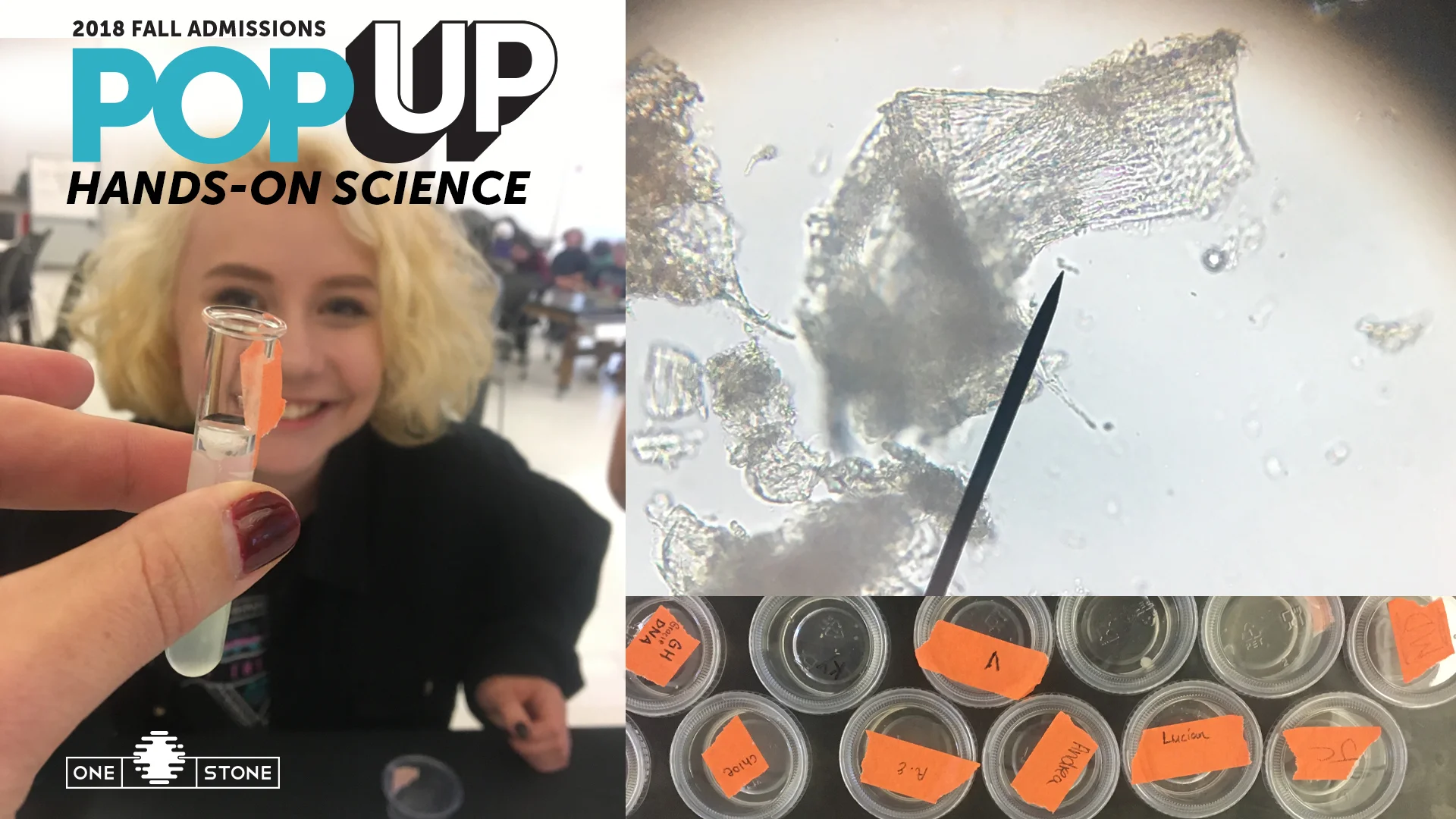 OneStoneSciencePopUp.jpg