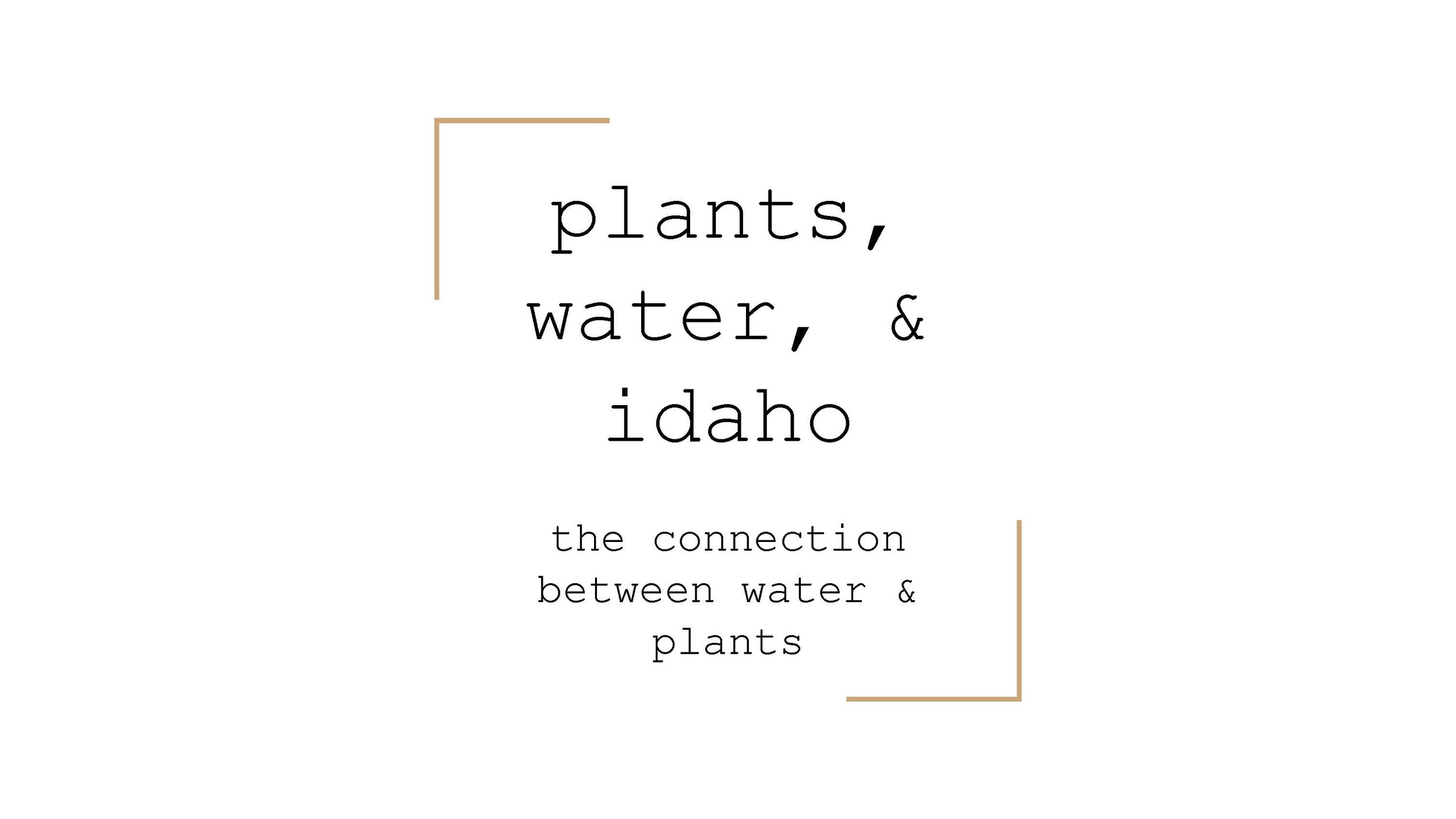 Plants, Water, _ Idaho - Sara Ziegler_Page_01.jpg