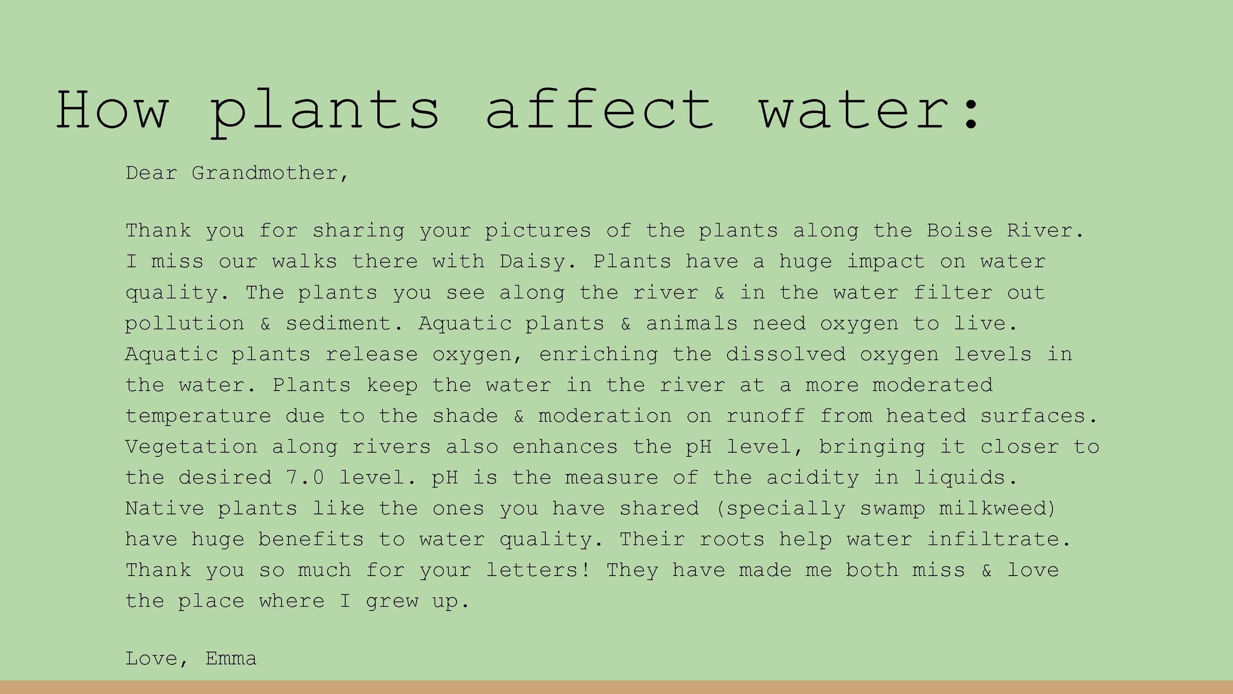 Plants, Water, _ Idaho - Sara Ziegler_Page_09.jpg