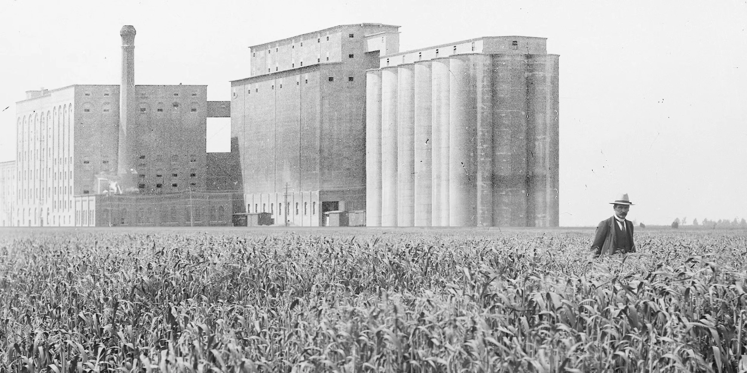 The unexpected rise of the ‘Oat Mafia’