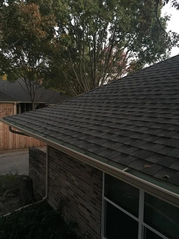 gutter and roof.jpg