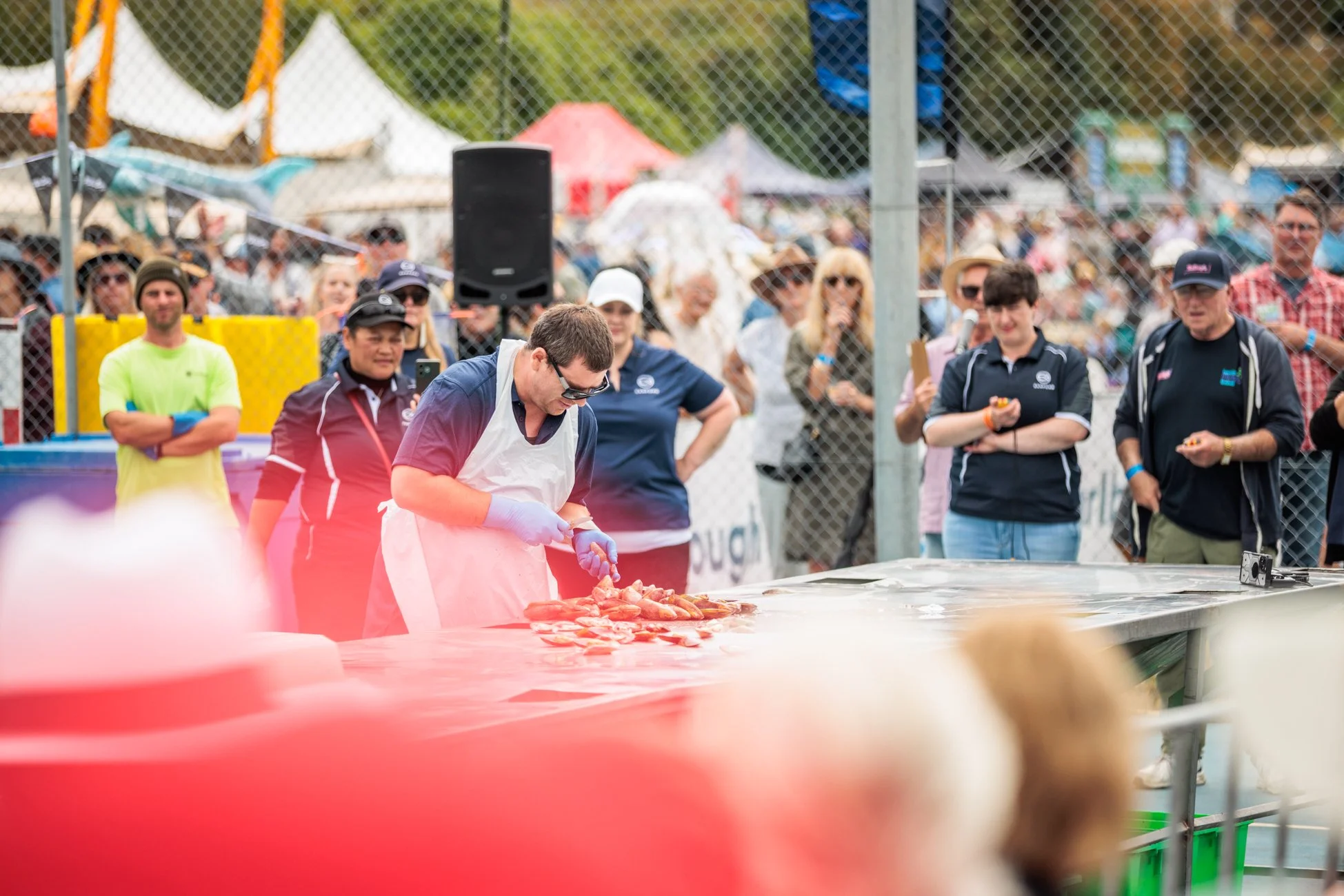 LBP - Havelock Festival - 2026