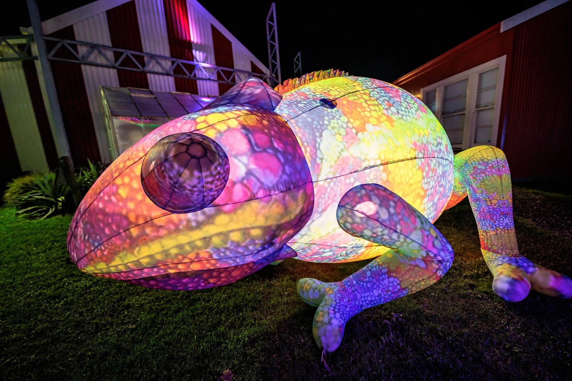 LBP - Illuminate - Nelson 2025 - Web Res - 32.jpg