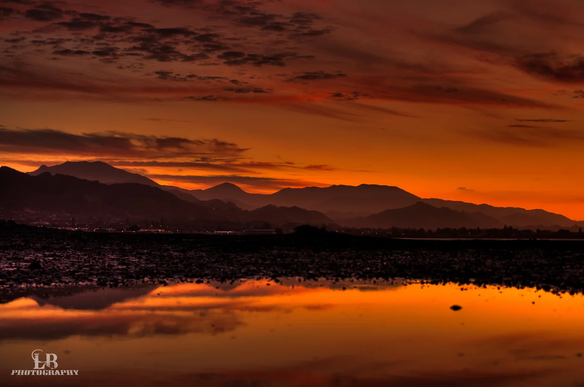 IMG_9331_2_3_4_5_tonemapped - LB-Photography.jpg