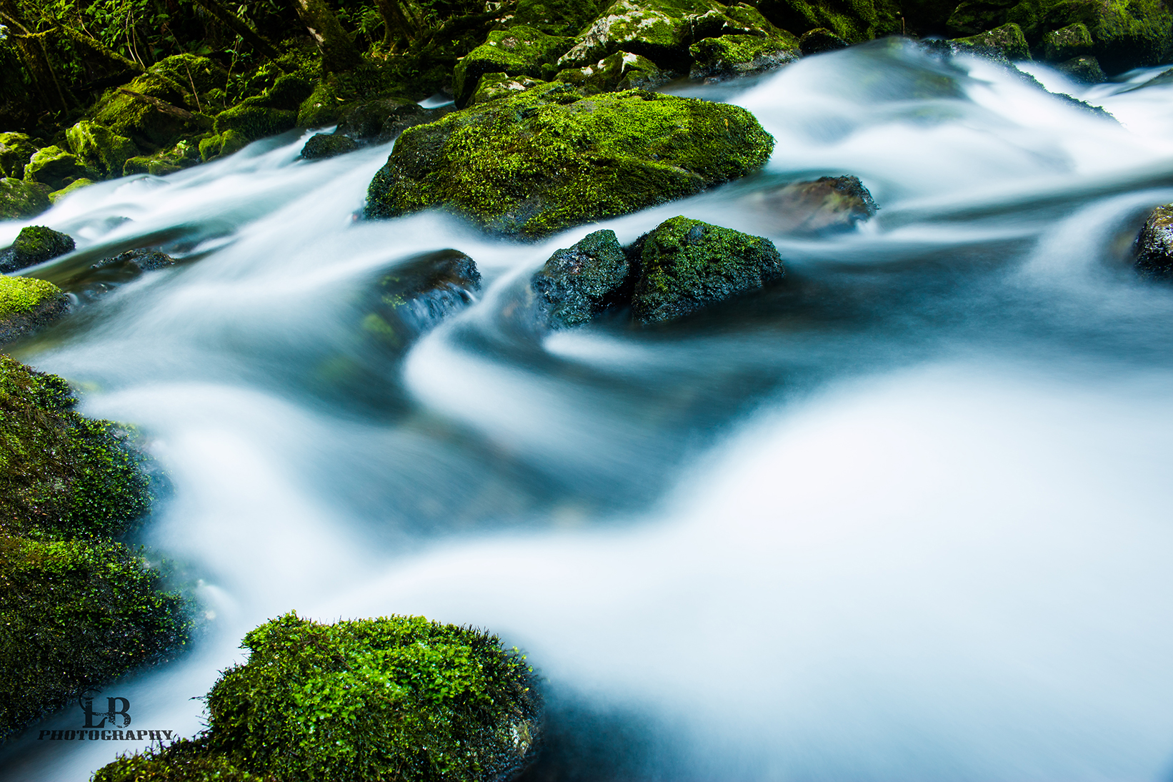 Riwaka River 3.jpg