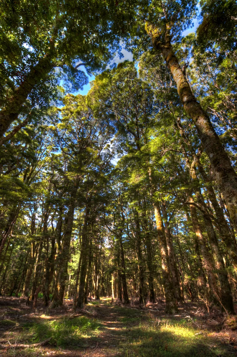 IMG_5224_5_6_7_8_tonemapped - LB-Photography.jpg