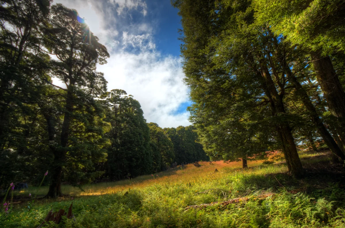 IMG_5207_08_09_10_11_tonemapped - LB-Photography.jpg