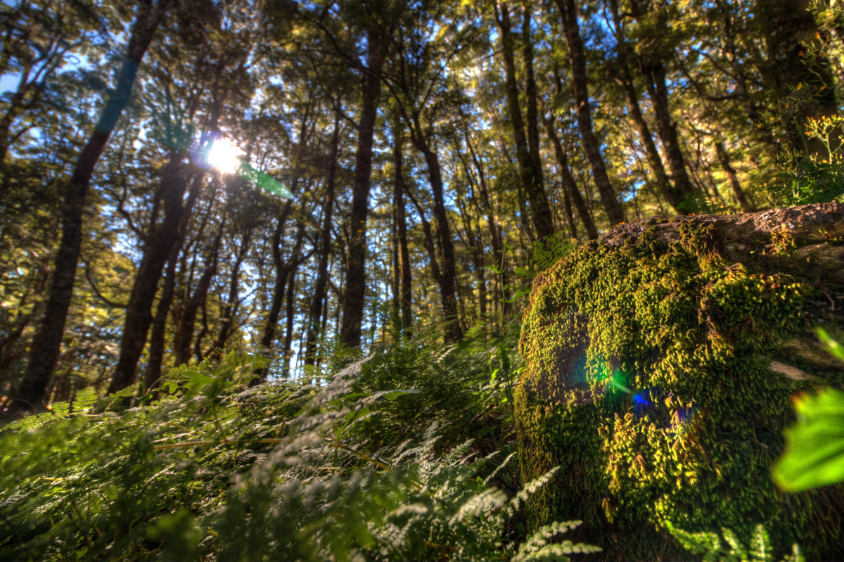 IMG_6499_500_501_502_503_tonemapped - LB-Photography.jpg